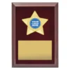Rosewood star plaque - gold with timber construction