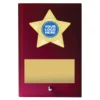 Red star plaque with glass construction