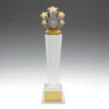 Stars crystal with crystal construction