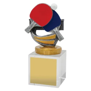 Silver table tennis budget crystal with crystal construction