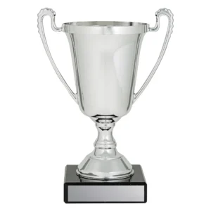 Silver the moment cup with plastic / marble construction