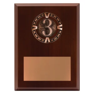 Walnut varsity plaque - 3rd with timber / metal construction