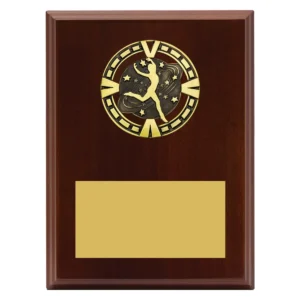 Walnut varsity plaque - dance with timber / metal construction