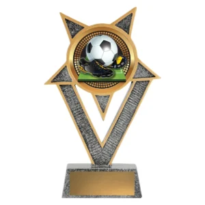 Silver ventura - football with resin construction