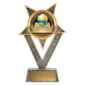 Silver ventura - volleyball with resin construction