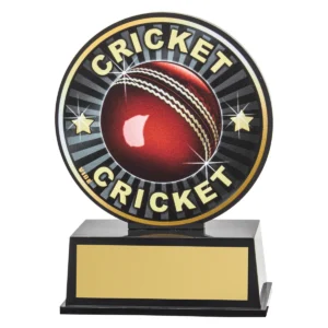 Black vibe cricket with plastic construction