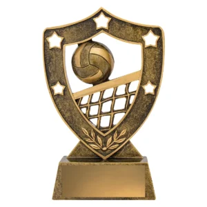 Gold volleyball gold shield with resin construction