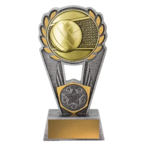 Silver & gold volleyball polaris with resin / metal construction
