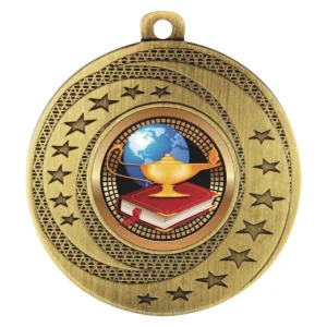 Gold wayfare medal - academic with metal construction