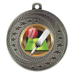 Silver wayfare medal - cricket with metal construction