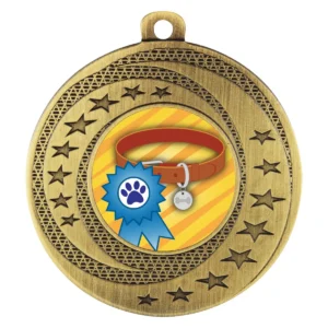 Gold wayfare - ribbon & collar with metal construction