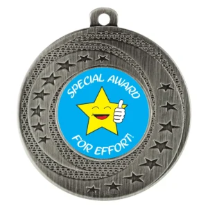 Silver wayfare - special award with metal construction