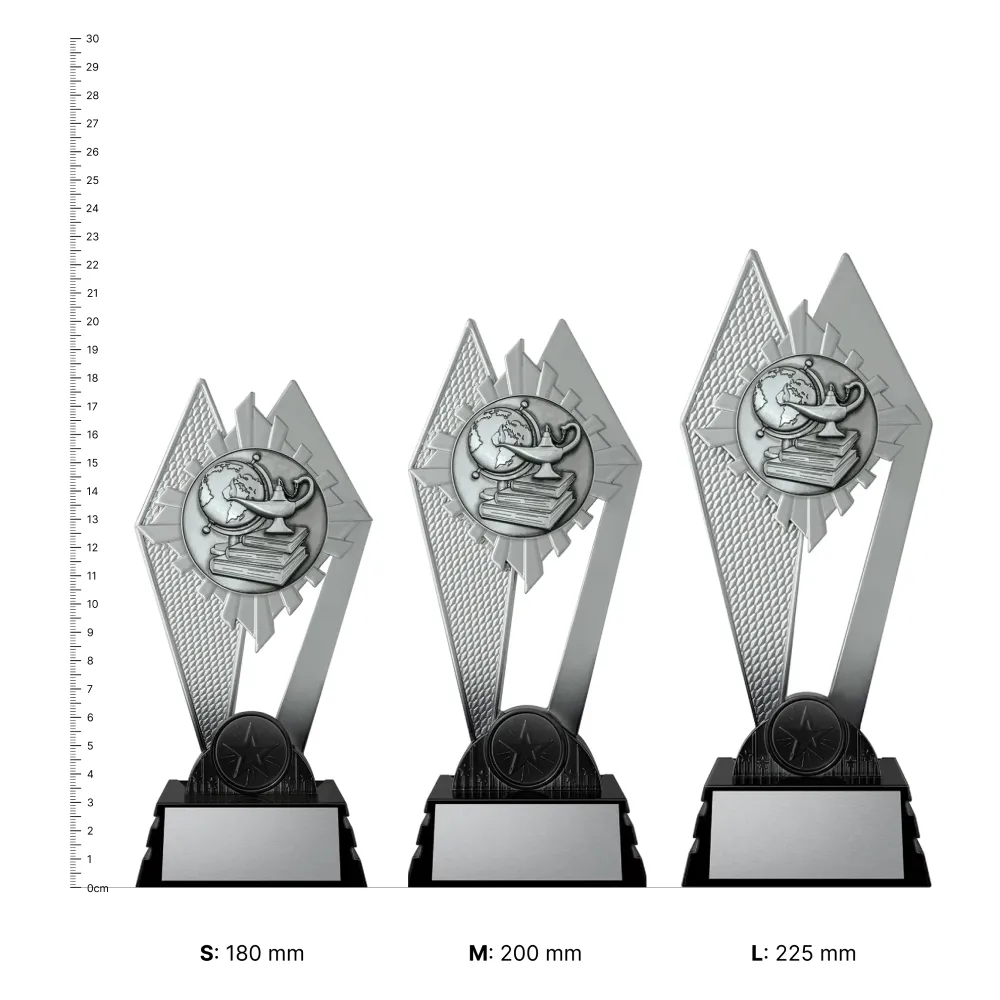 Academic Nighthawk trophies next to ruler