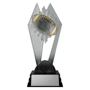 black and silver trophy with gridiron football