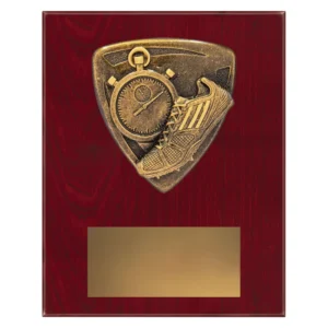 athletics plaque with stopwatch and shoe and emblem on a wooden plaque.