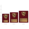 Aussie Rules Nova Plaques next to ruler