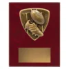 aussie rules plaque with boot, ball and goal posts emblem on a wooden plaque.