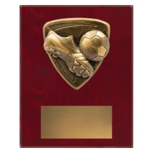 football plaque with boot, ball and goal emblem on a wooden plaque.