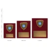 Nova Plaques next to ruler
