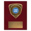 award plaque with insert and emblem on a wooden plaque.