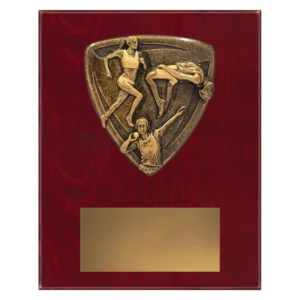 cross country plaque with athletes emblem on a wooden plaque.