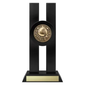 water polo trophy with ball, net and stars emblem on a black base.